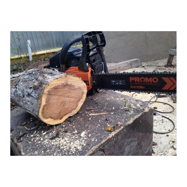 gasoline-saw-carver-promo-psg-52-18-01.004.00024-5