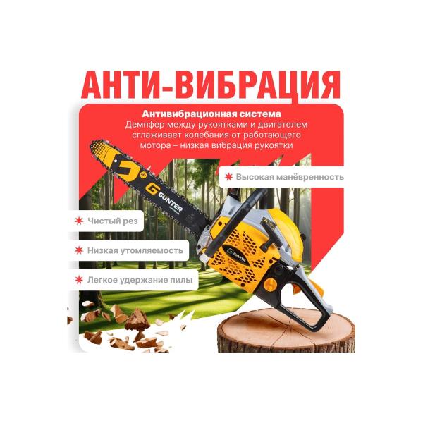 chainsaw-gunter-msh-4505-4