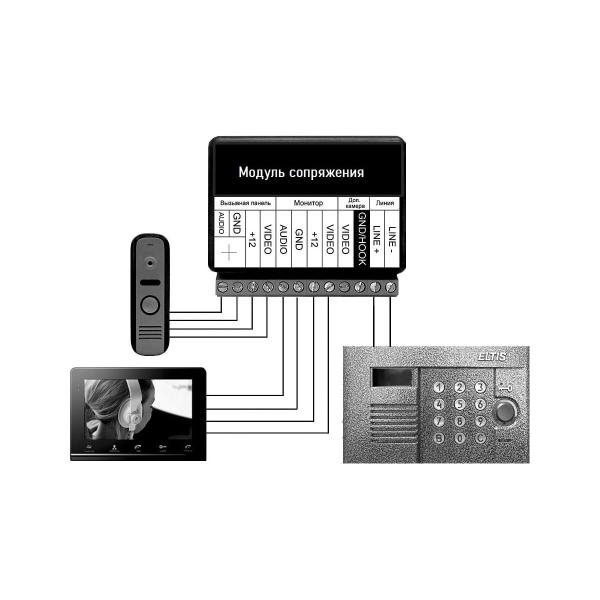 module-conjugation-ctv-msts-3008242-3