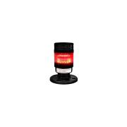 light-signal-column-xson-d-70mm-stand-30mm-constant-sound-color-red-12-24-v-dc-ip53-xson-btl70bk-s1afr-ln24-30