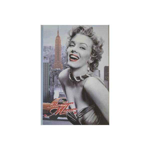 safe-book-cassida-marilyn-monroe-000033-1