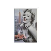 safe-book-cassida-marilyn-monroe-000033
