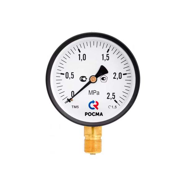 general-technical-pressure-gauge-rosma-tm-510r.00-0-1mpa-dk100-g12-class-accuracy-1.5-d270-06629-1