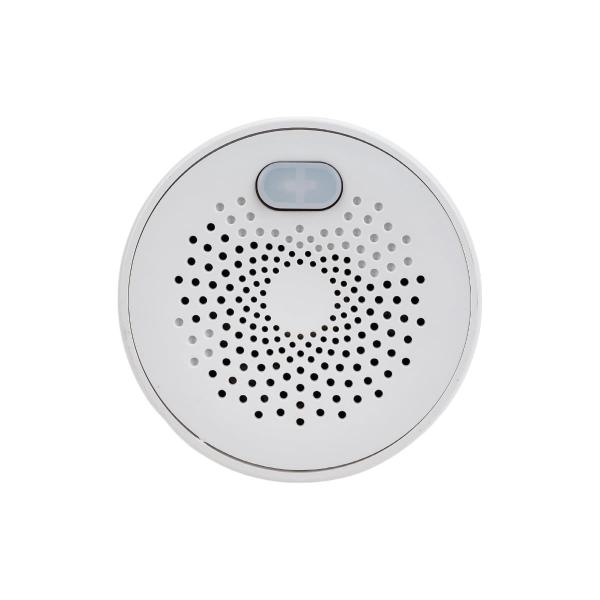 detector-gas-sibling-powernet-gt-00-00003657-1