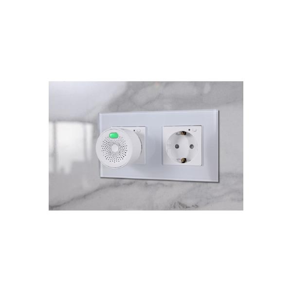 sensor-gas-sibling-zigbee-powernet-gt-00-00003098-2