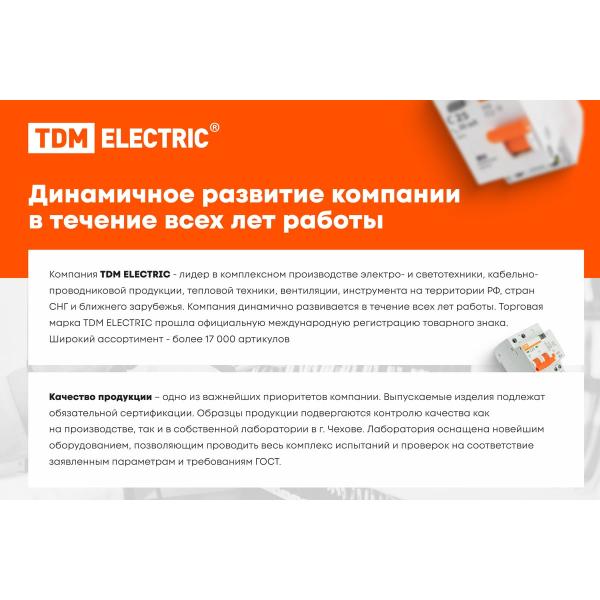 fire-and-security-luminous-alarm-tdm-electric-topaz-220-rip-base-220v-backup-power-supply-ip52-sq0349-0214-2
