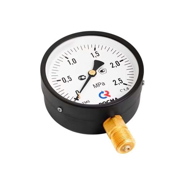 general-technical-vacuum-gauge-rosma-tv-510r.00-0.1-0mpa-dk100-g12-class-accuracy-1.5-d070-01436-3