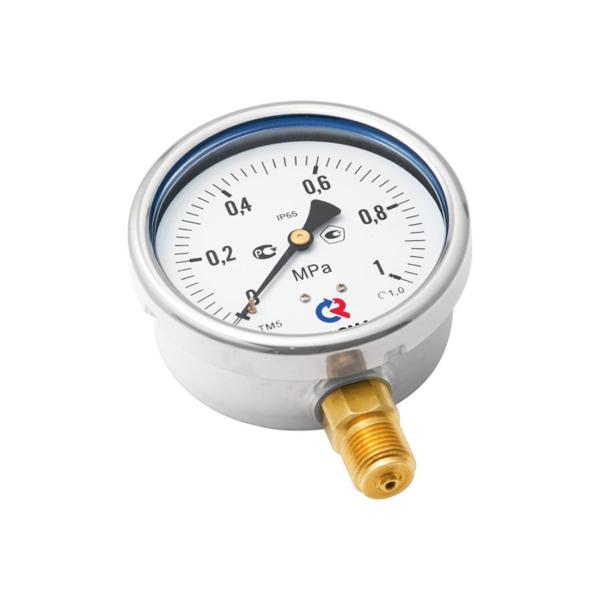vibration-resistant-pressure-gauge-rosma-tm-520r.00-0-1.6mpa-dk100-g12-class-accuracy-1.0-d070-03800-3