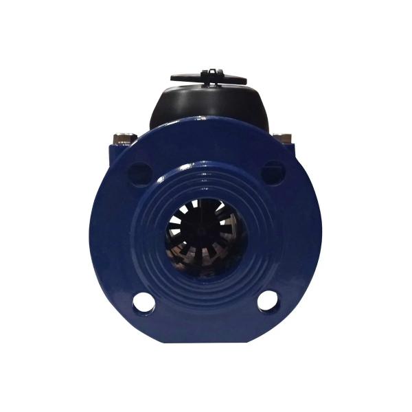 turbine-cw-hw-meter-pulsar-g-du65-qn63m3chas-l200mm-rubber-rings-r00074103-2