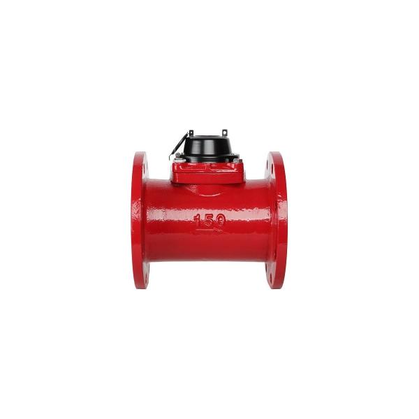 water-meter-norma-is-stv-150g-100073-2