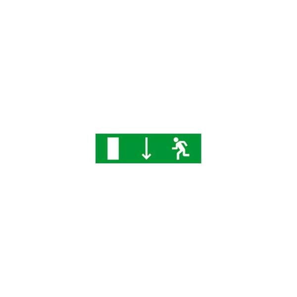 fire-and-security-alarm-light-scoreboard-skat-pointer-doors-evacuation-exit-left-hand-12-lux-8539-1