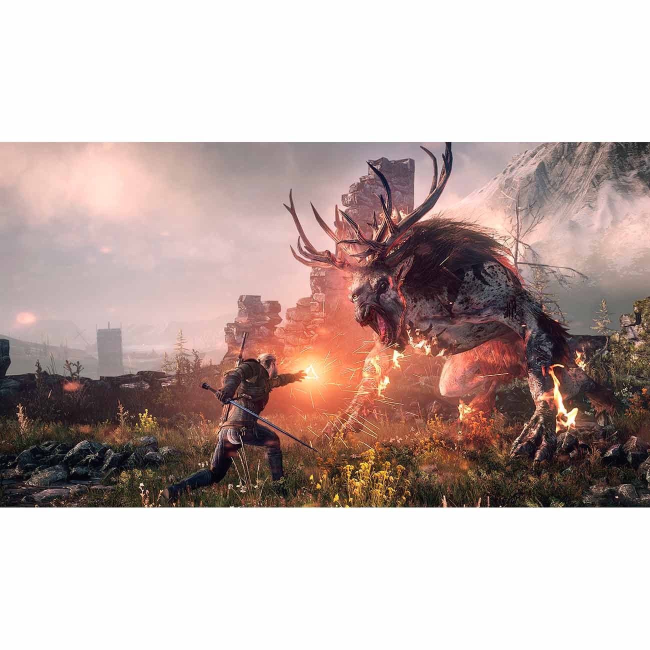 ps4-game-cd-projekt-red-witcher-3:-wild-hunting-edition-game-years-4