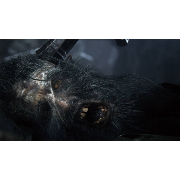 ps4-game-playstation-bloodborne-hits-playstation-5