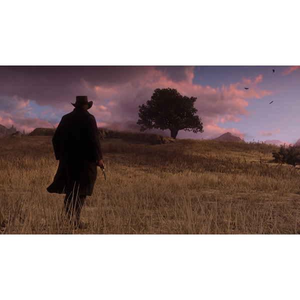 ps4-game-take-two-red-dead-redemption-2-10