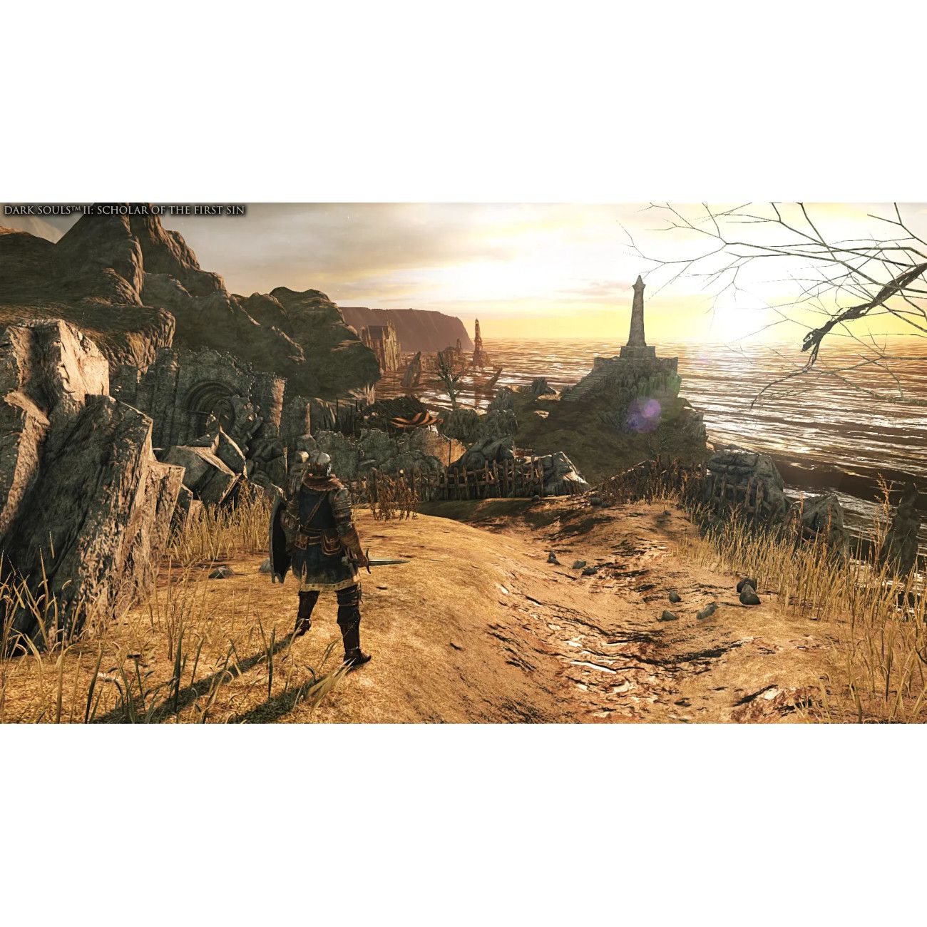 ps4-game-bandai-namco-dark-souls-trilogy-4