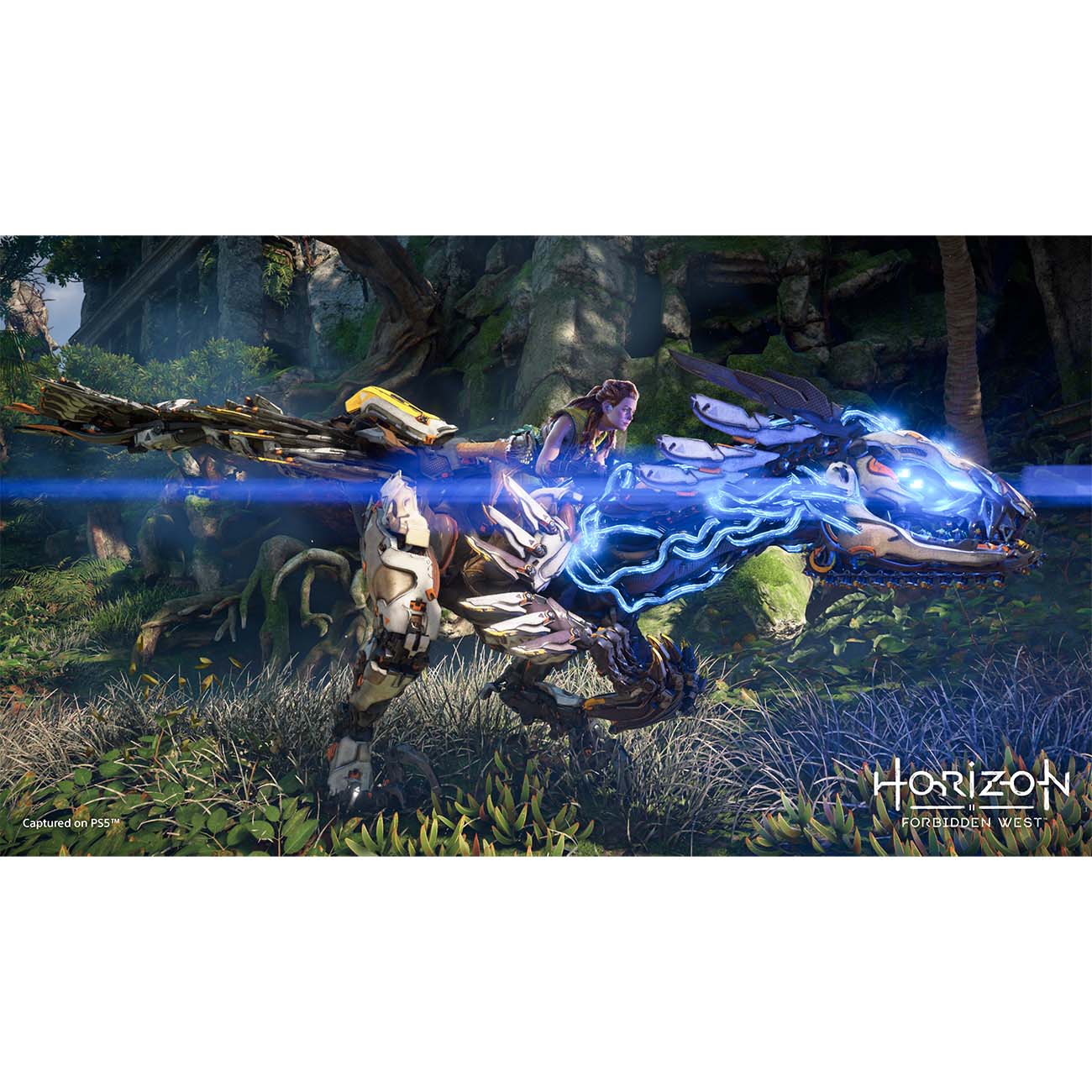 ps5-game-playstation-horizon-forbidden-west-3