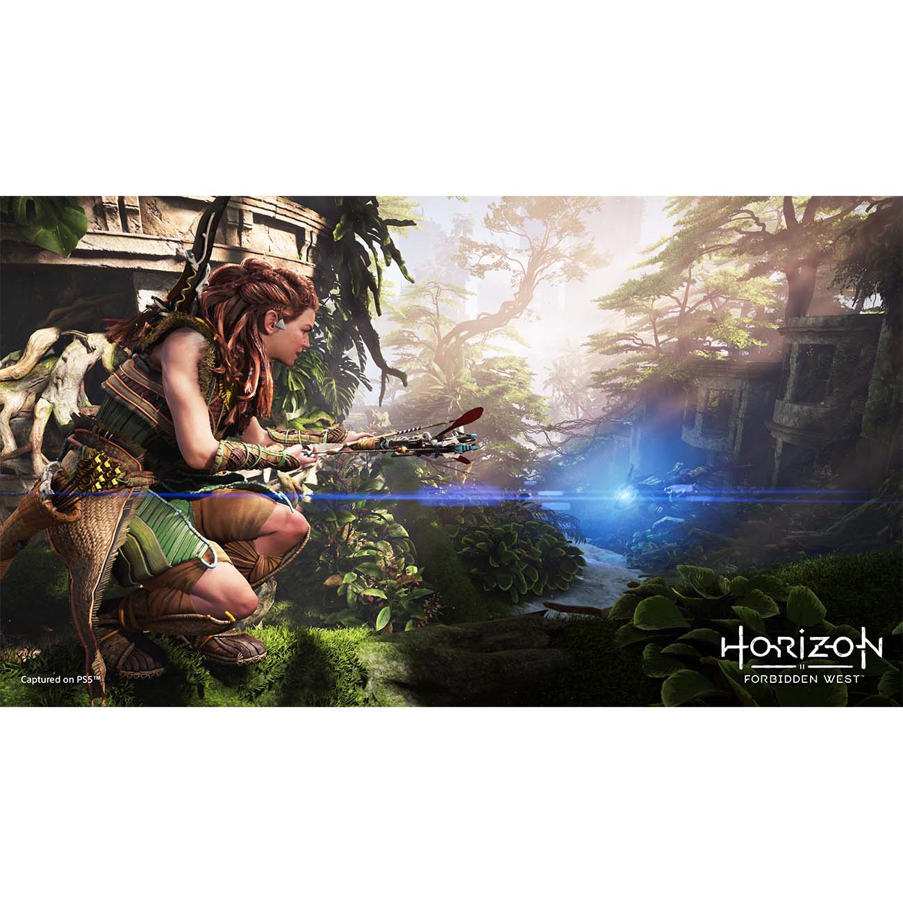 ps5-game-playstation-horizon-forbidden-west-6