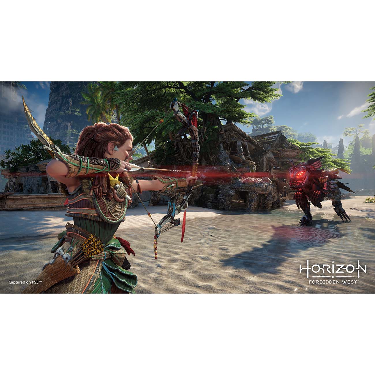 ps5-game-playstation-horizon-forbidden-west-8
