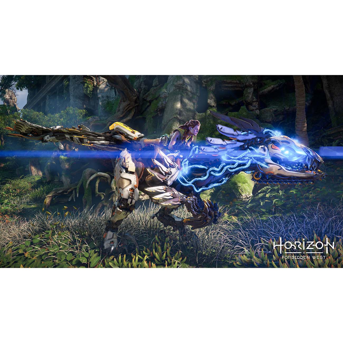 ps4-game-playstation-horizon-forbidden-west-3