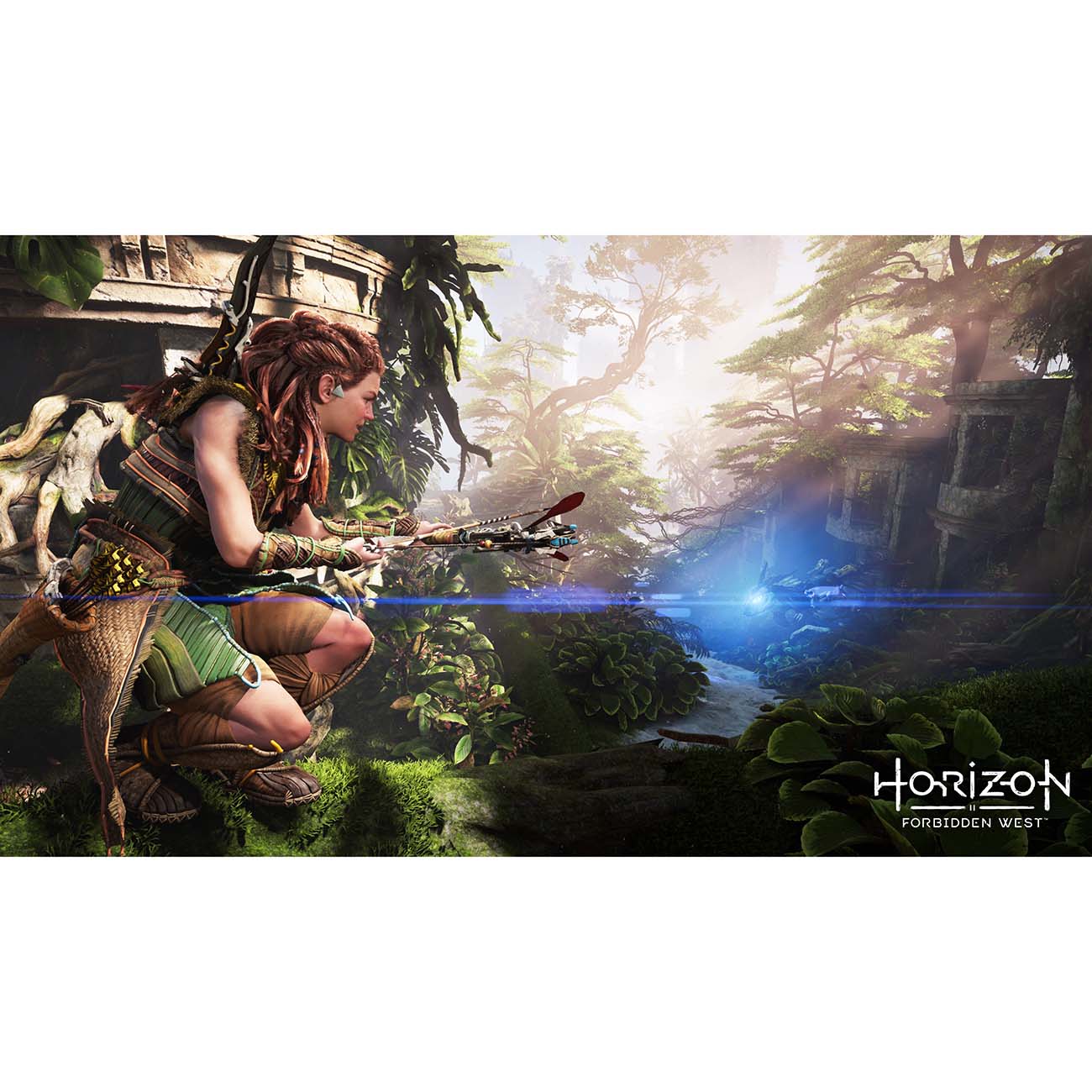 ps4-game-playstation-horizon-forbidden-west-6