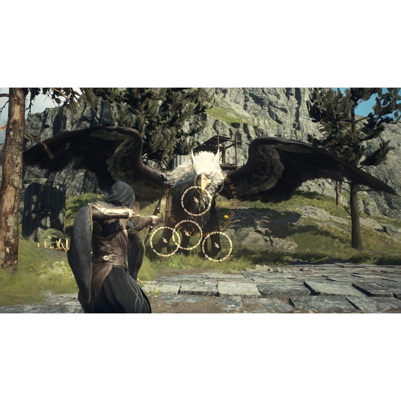 ps5-game-capcom-dragon-s-dogma-ii-russians-subtitles-4