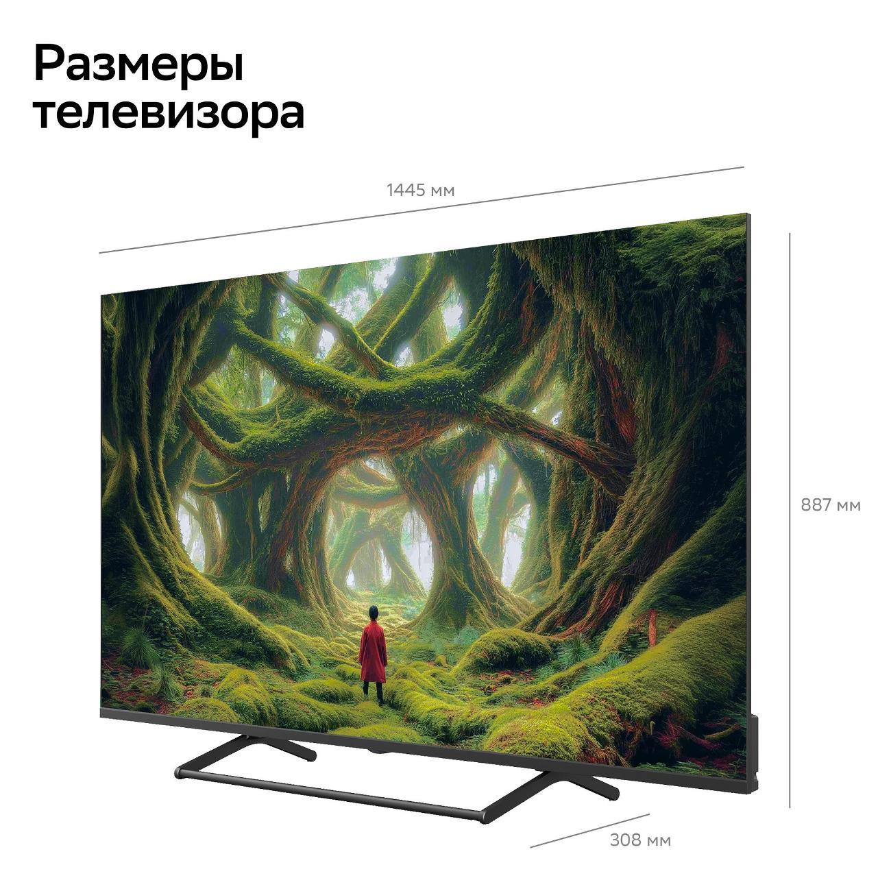 tv-sber-sdx-65u8131-10