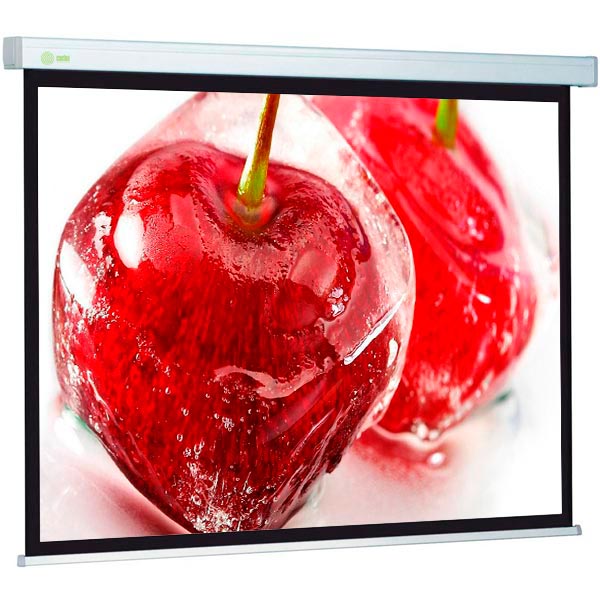 screen-for-video-projector-cactus-cs-psw-168-299