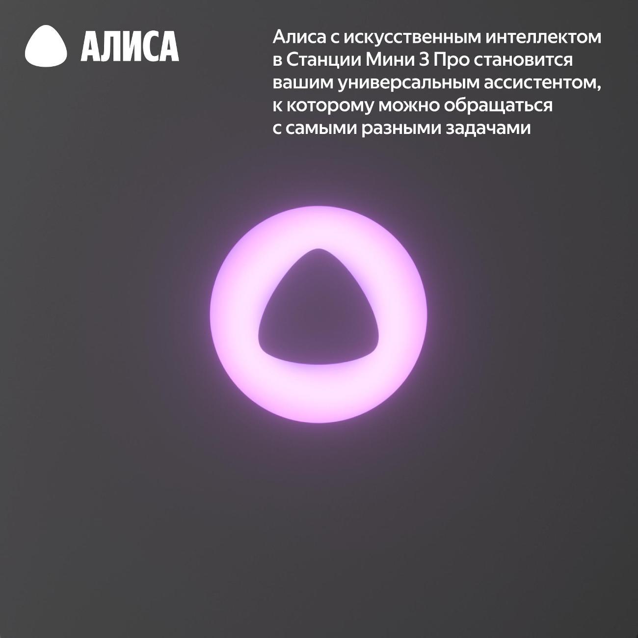 smart-speaker-yandex-mini-3-pro-yndx-00059-grey-6