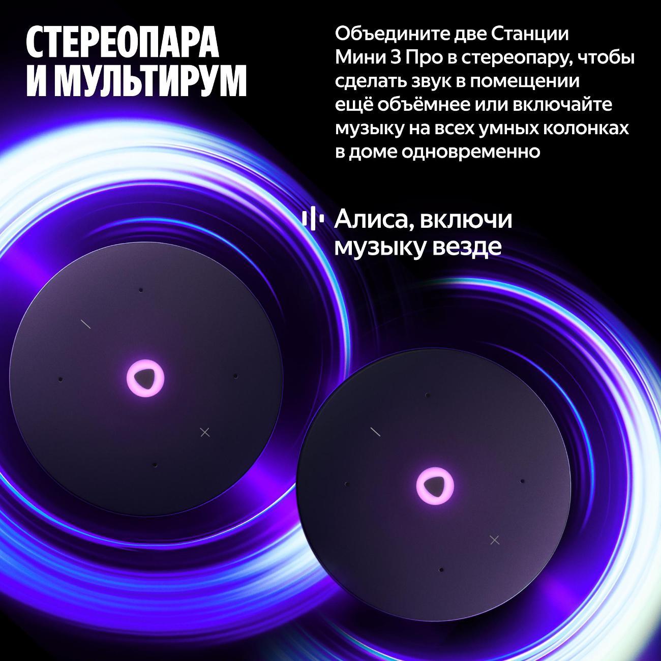 smart-speaker-yandex-mini-3-pro-yndx-00059-grey-9