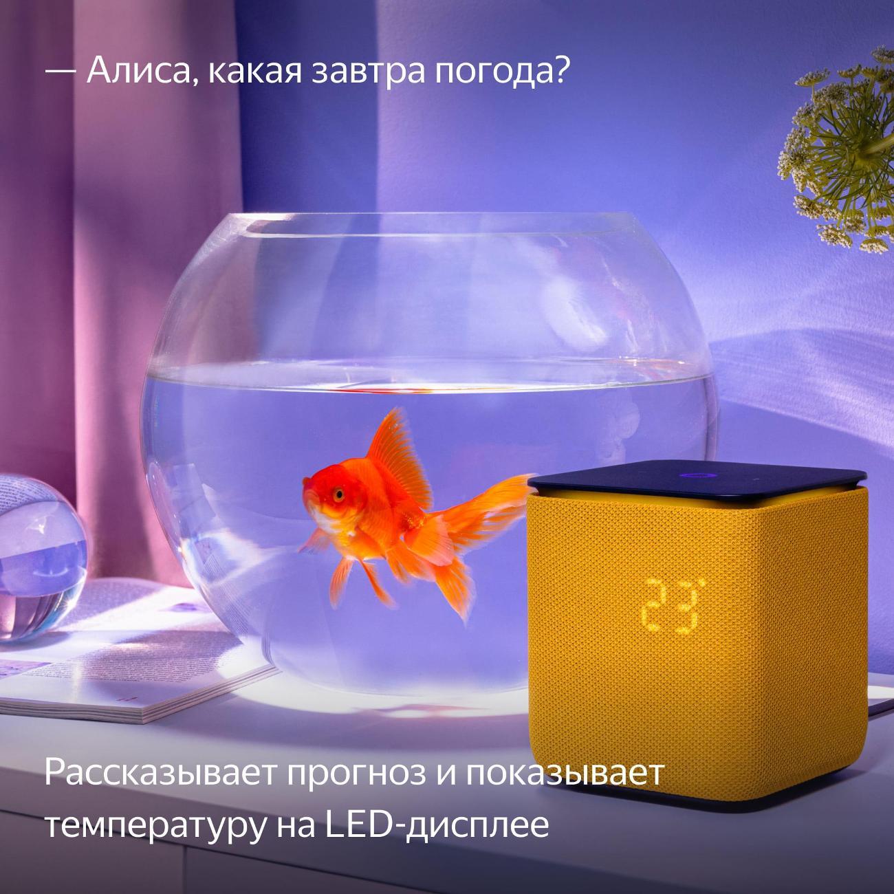 smart-speaker-yandex-midi-yndx-00054-orange-10