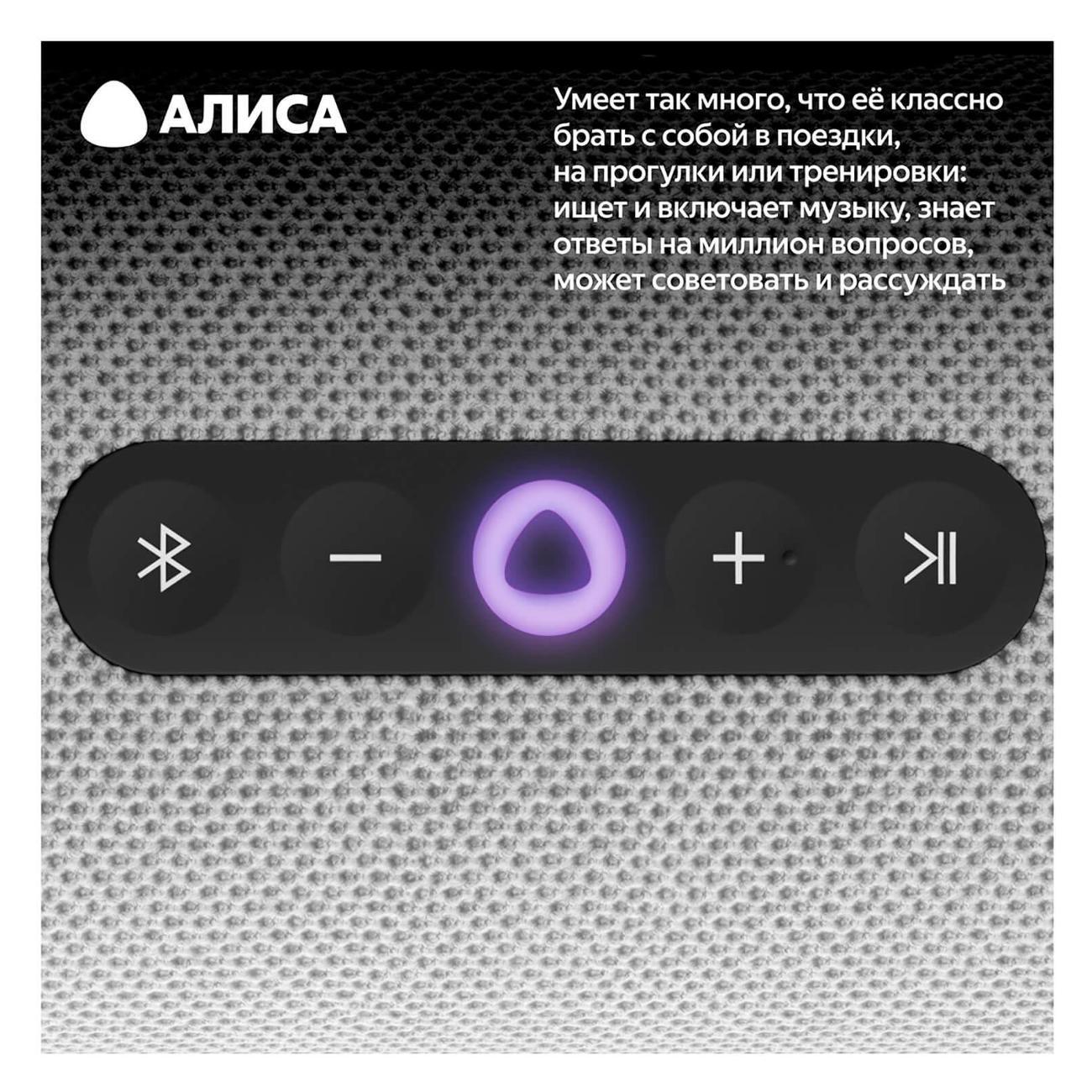 smart-speaker-yandex-station-street-alice-grey-yndx-00030gry-5
