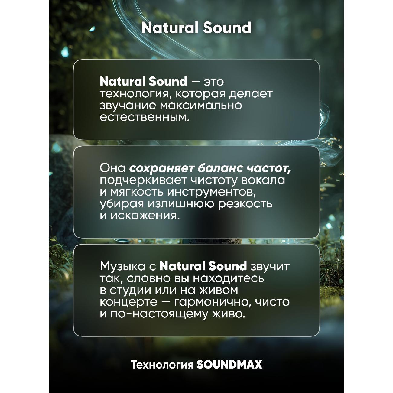 portable-wireless-speaker-soundmax-sm-ps4428chernyy-6