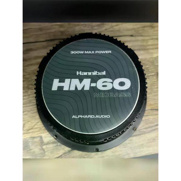 car-speakers-deaf-bonce-hm-60-midbass-7