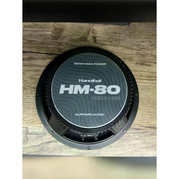 car-speakers-deaf-bonce-hm-80-midbass-8