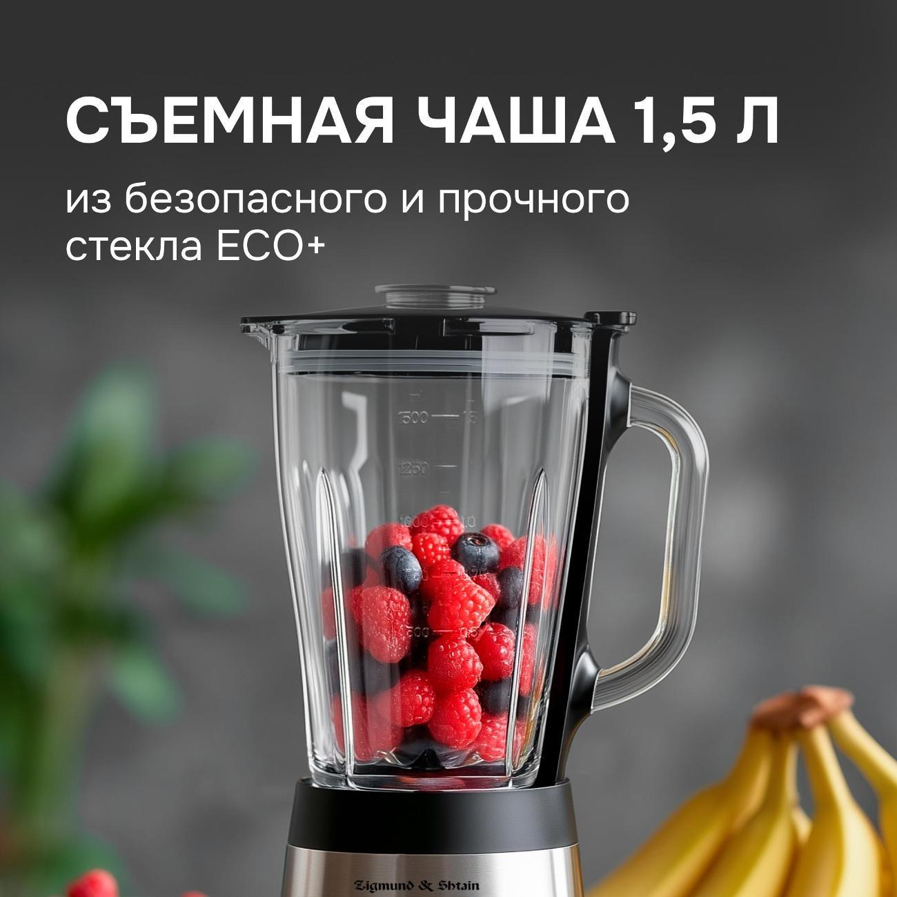 blender-stationary-zigmund-shtain-bs-448-d-5