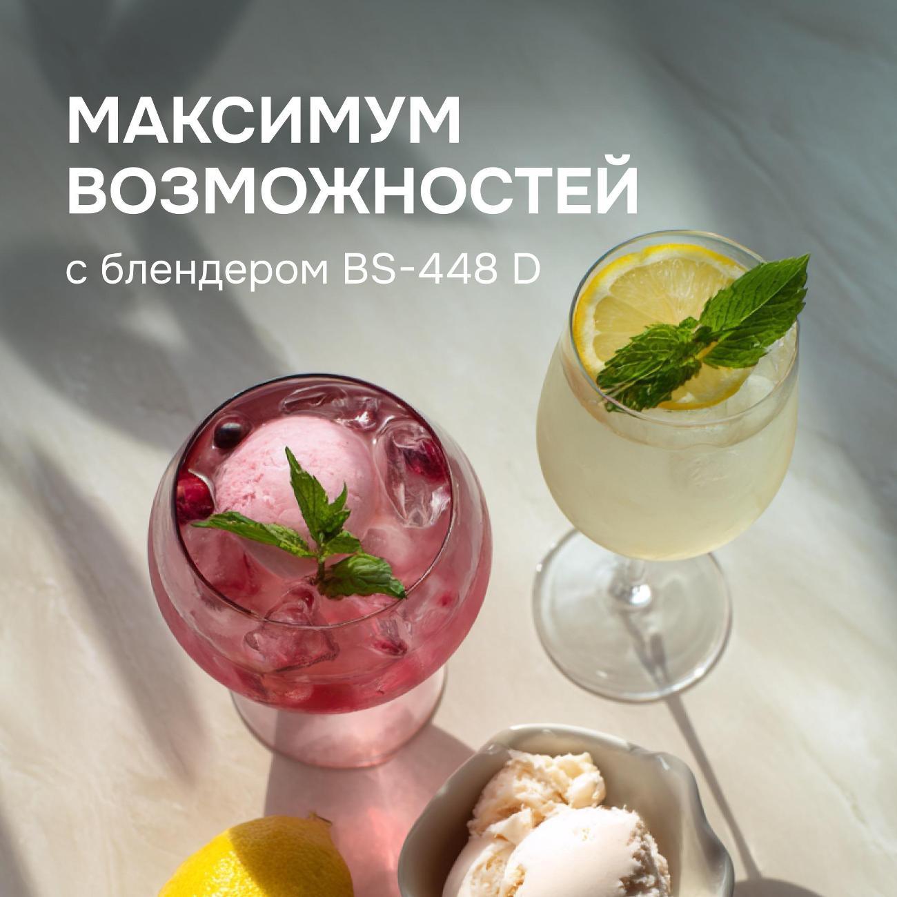 blender-stationary-zigmund-shtain-bs-448-d-9