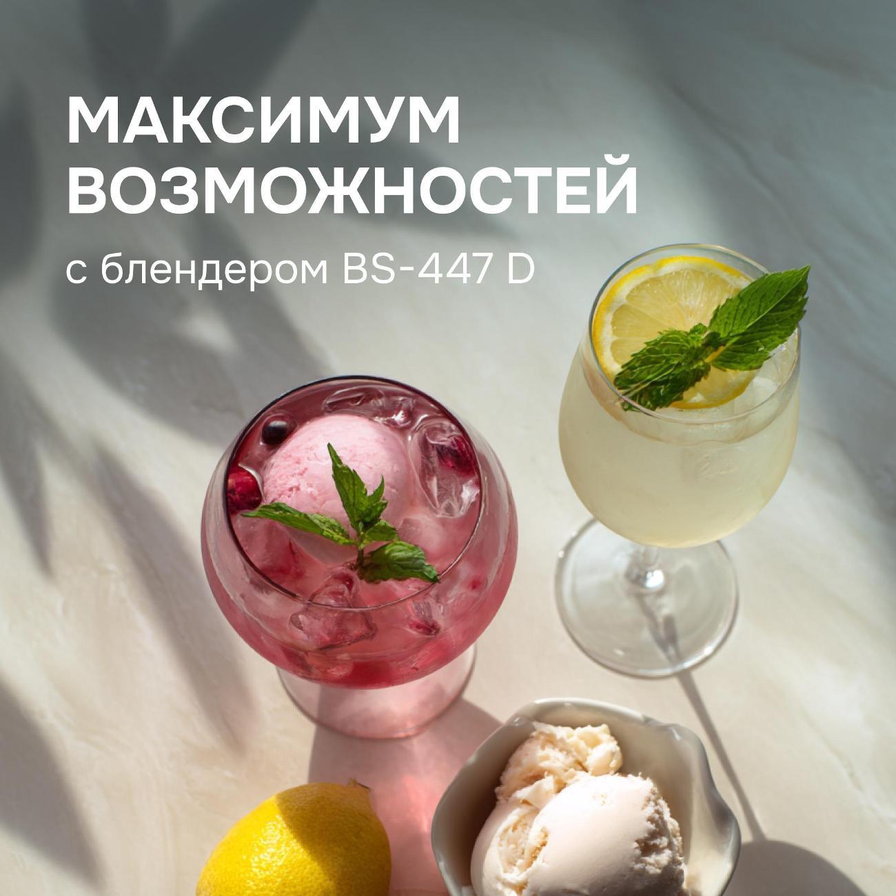 blender-stationary-zigmund-shtain-bs-447-d-8