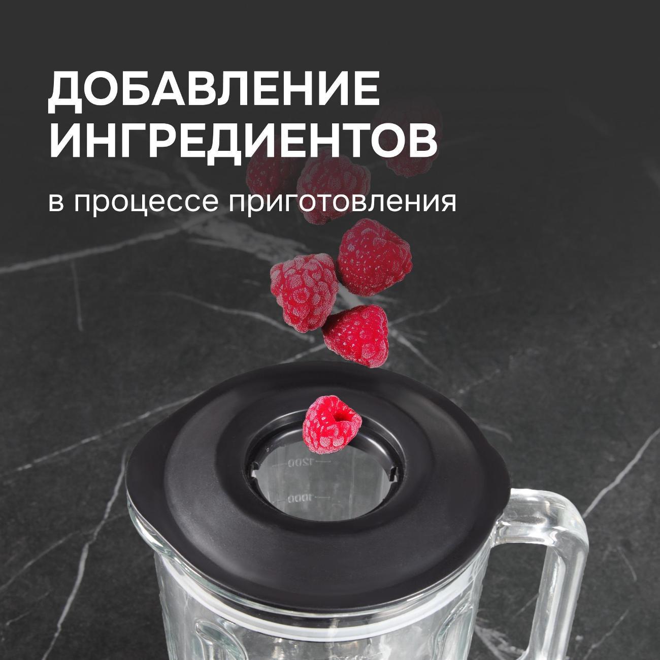 blender-stationary-zigmund-shtain-bs-441-d-5