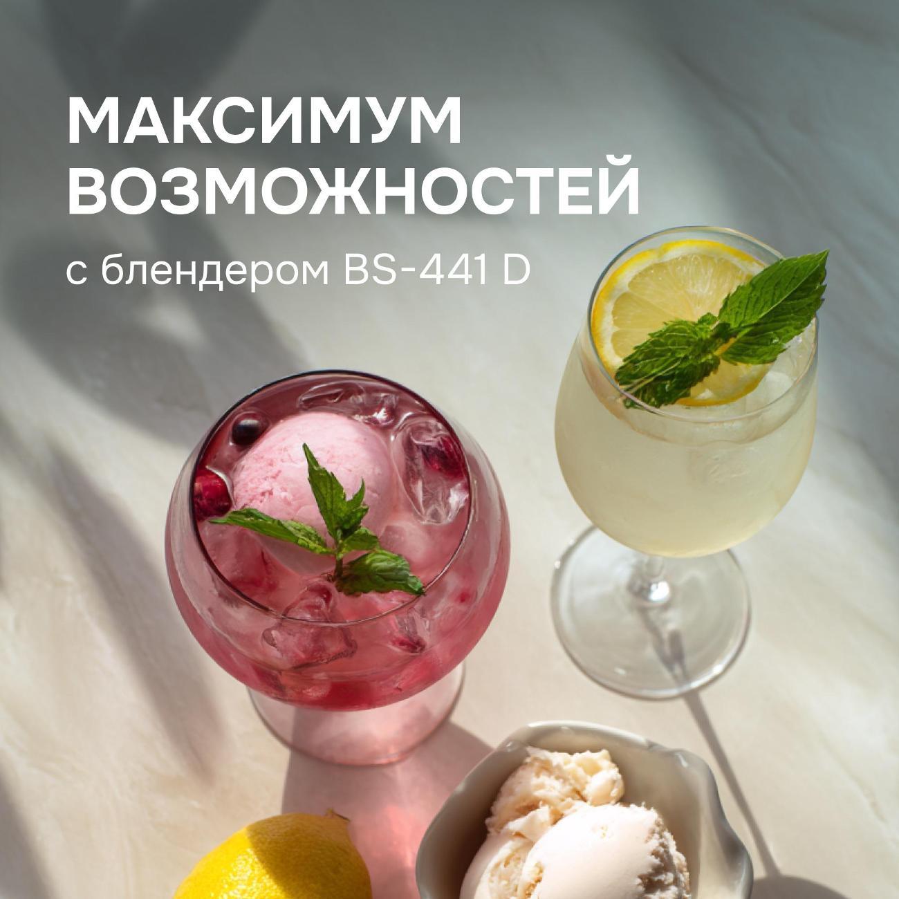 blender-stationary-zigmund-shtain-bs-441-d-9