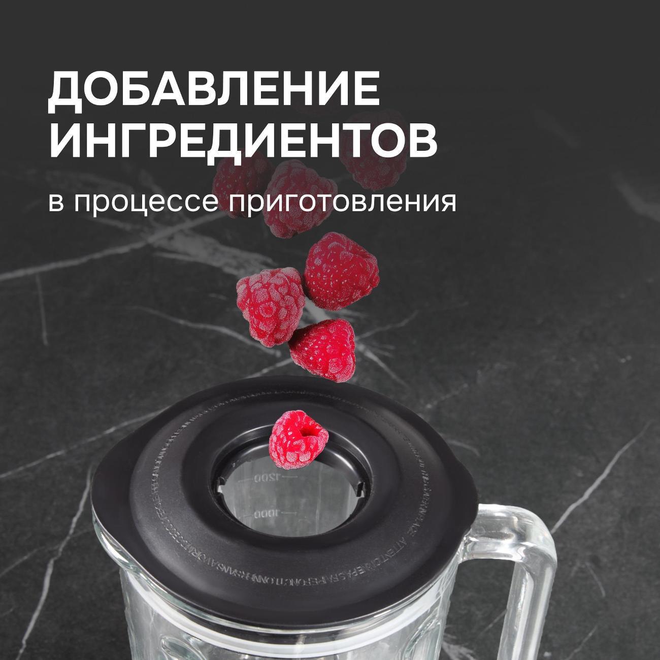 blender-stationary-zigmund-shtain-bs-442-d-4