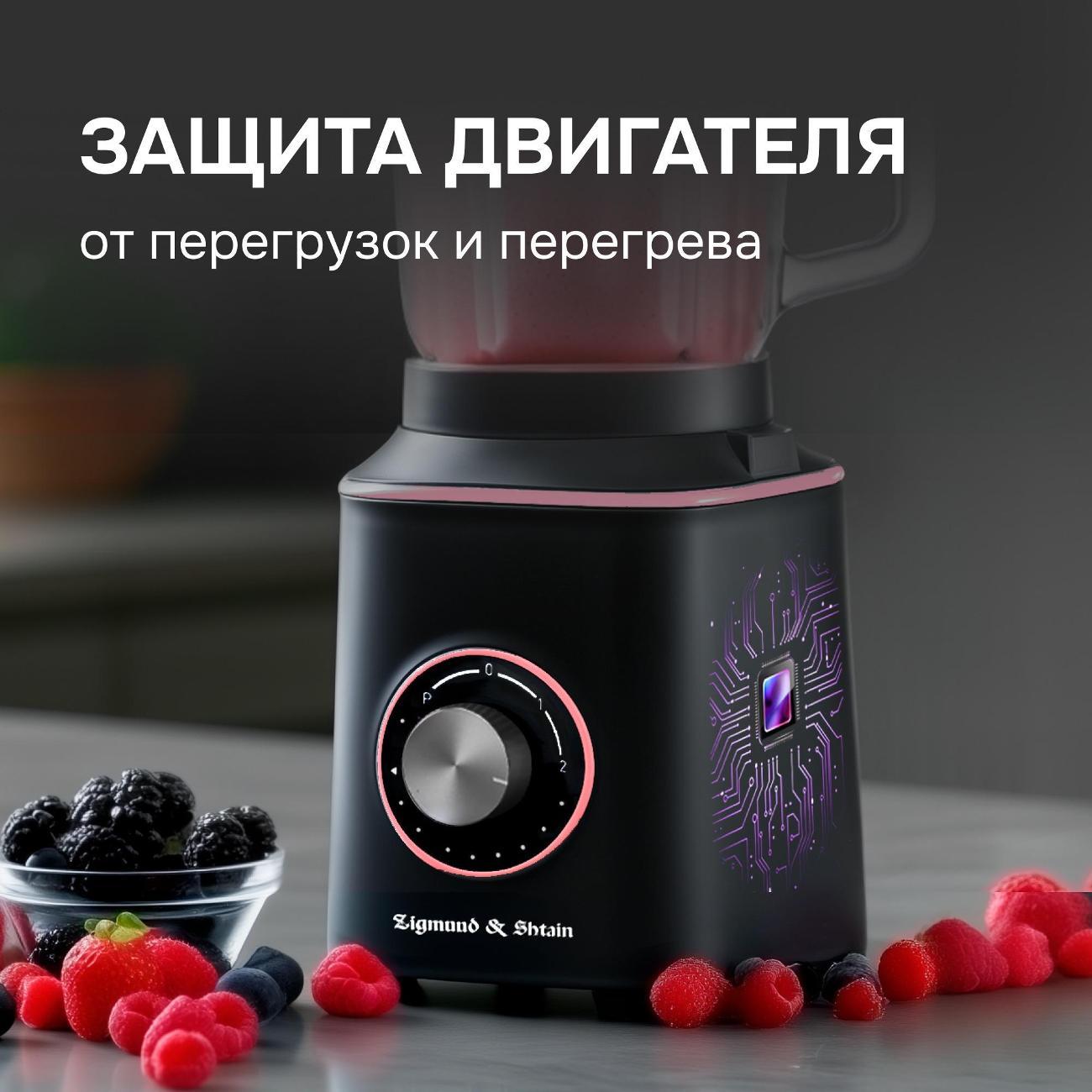 blender-stationary-zigmund-shtain-bs-442-d-7