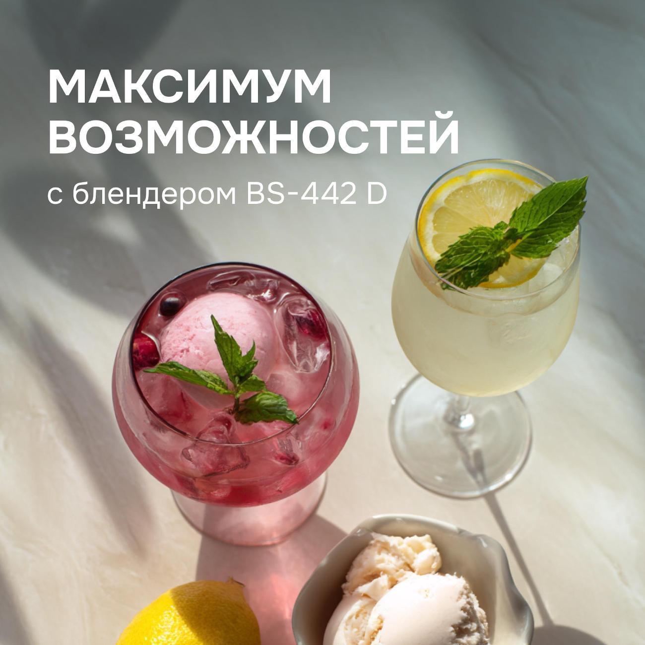 blender-stationary-zigmund-shtain-bs-442-d-8