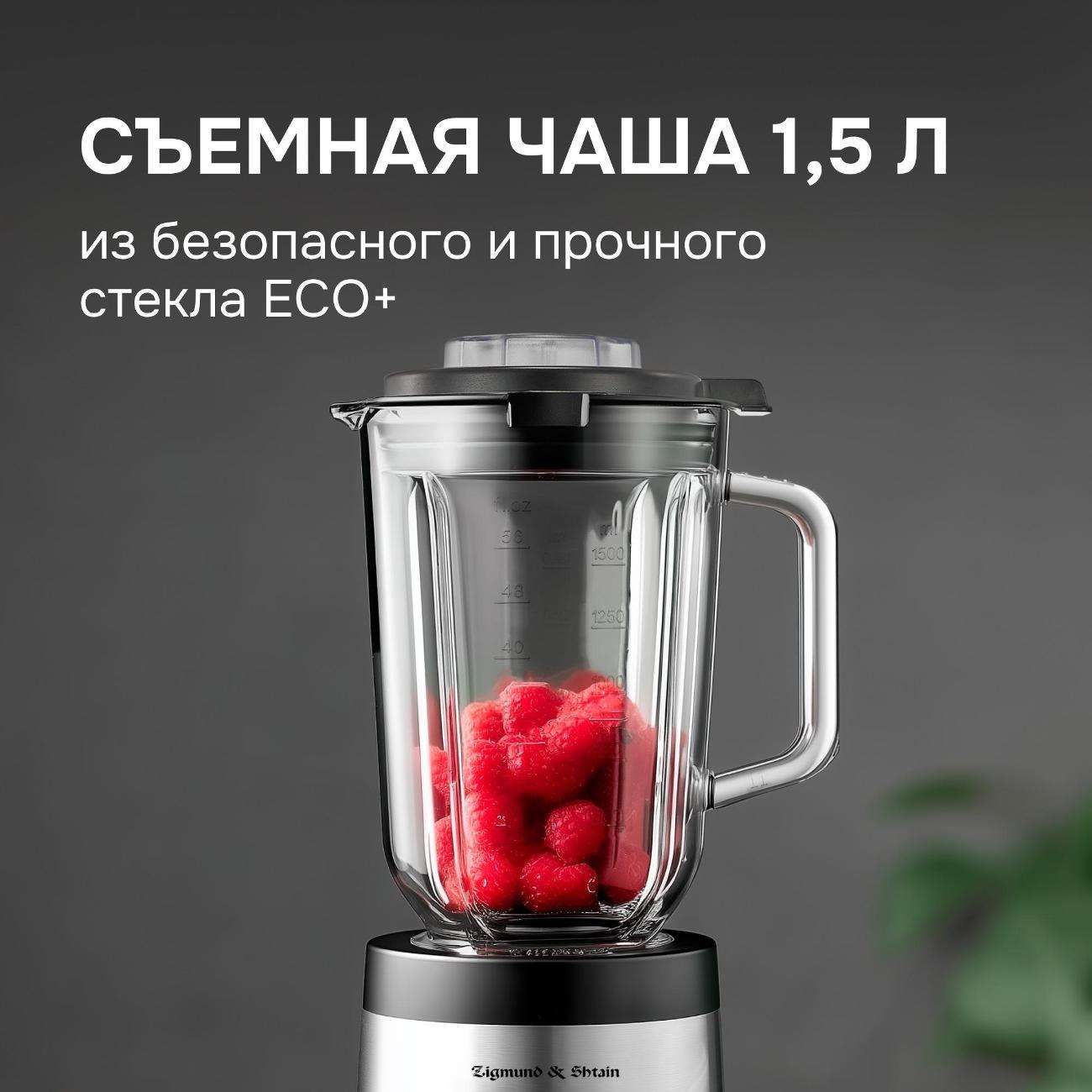 blender-stationary-zigmund-shtain-bs-481-d-6