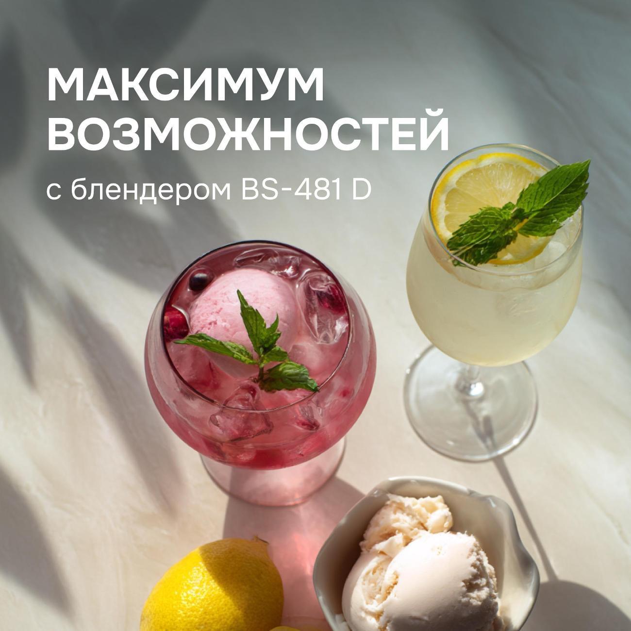 blender-stationary-zigmund-shtain-bs-481-d-8