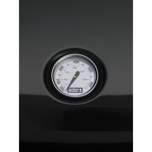 electrogrill-weber-traveller-4