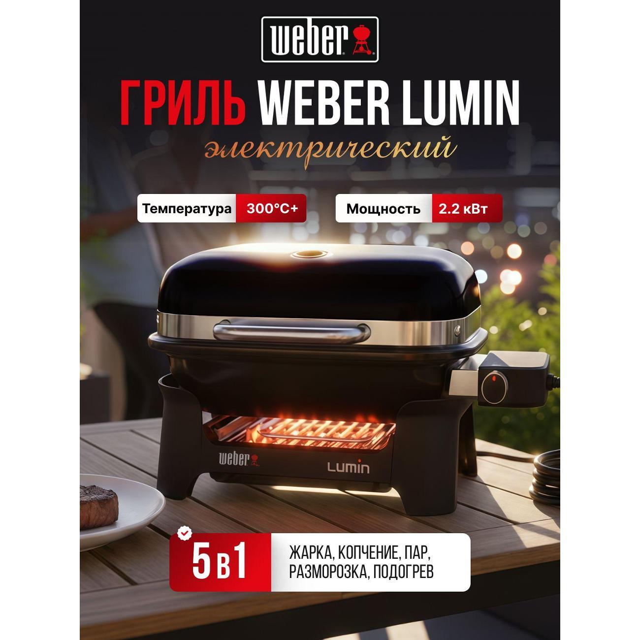 electrogrill-weber-traveller-5