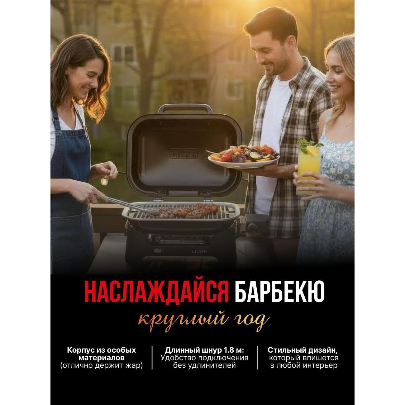 electrogrill-weber-traveller-7