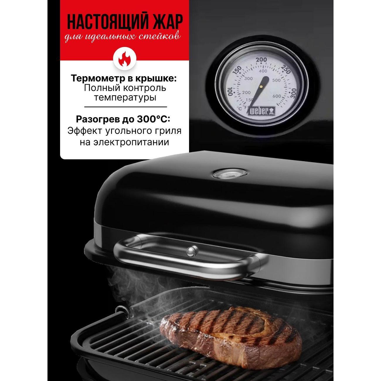 electrogrill-weber-traveller-8