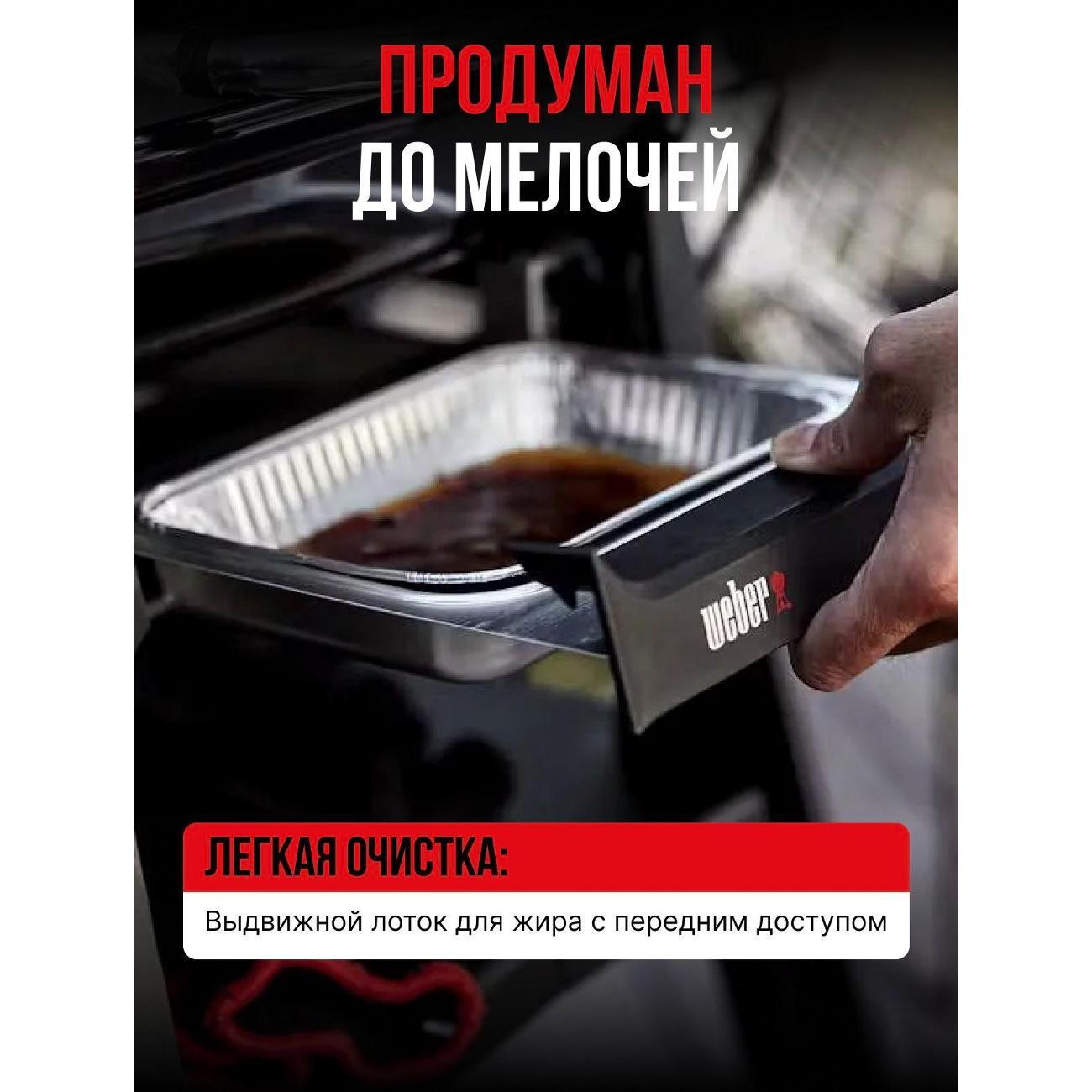 electrogrill-weber-traveller-9