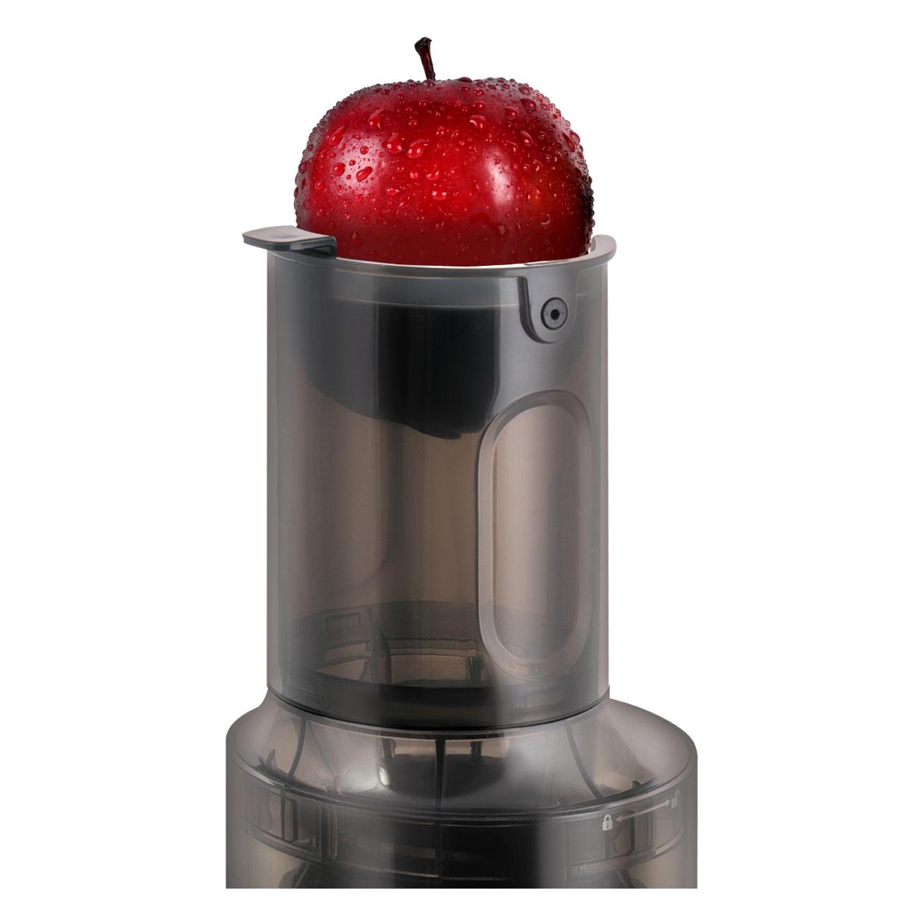 juicer-auger-zigmund-shtain-esj-771-4